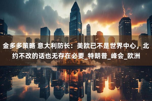 金多多策略 意大利防长：美欧已不是世界中心，北约不改的话也无存在必要_特朗普_峰会_欧洲