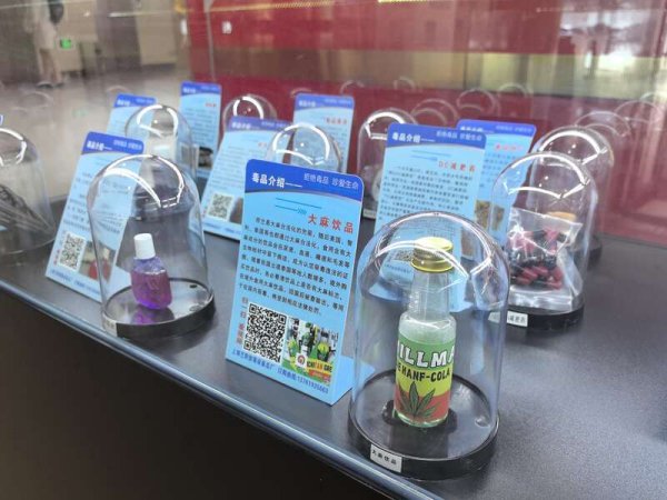 金贝街 青春不“毒”行：记者走进2025年“防范青少年药物滥用”禁毒宣传体验营