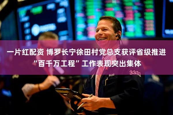 一片红配资 博罗长宁徐田村党总支获评省级推进“百千万工程”工作表现突出集体