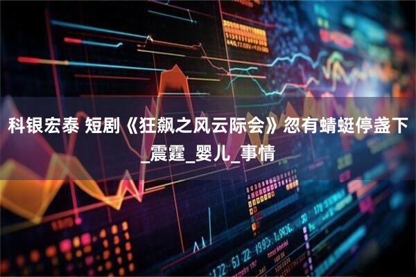 科银宏泰 短剧《狂飙之风云际会》忽有蜻蜓停盏下_震霆_婴儿_事情