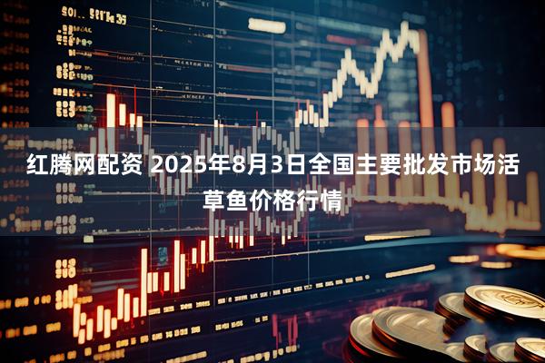 红腾网配资 2025年8月3日全国主要批发市场活草鱼价格行情