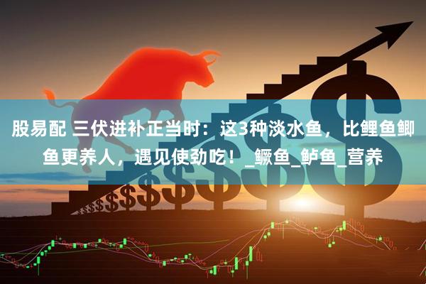 股易配 三伏进补正当时：这3种淡水鱼，比鲤鱼鲫鱼更养人，遇见使劲吃！_鳜鱼_鲈鱼_营养