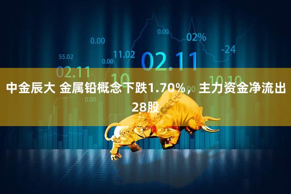 中金辰大 金属铅概念下跌1.70%，主力资金净流出28股
